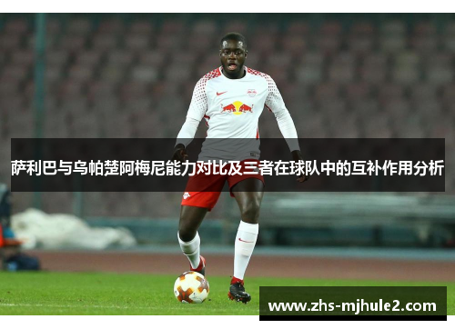 萨利巴与乌帕楚阿梅尼能力对比及三者在球队中的互补作用分析 萨利巴与乌帕楚阿梅尼能力对比及三者在球队中的互补作用分析